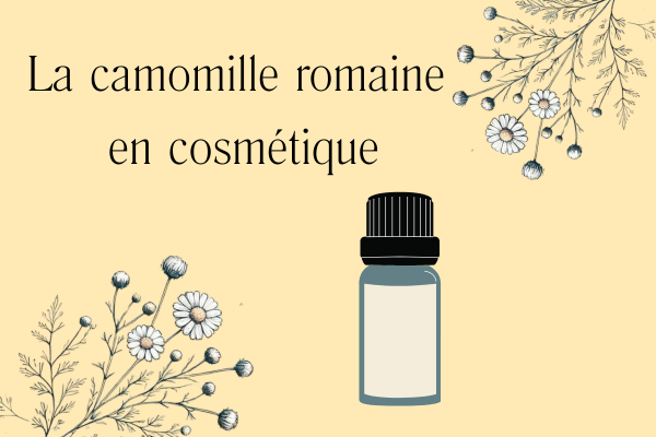 camomille
