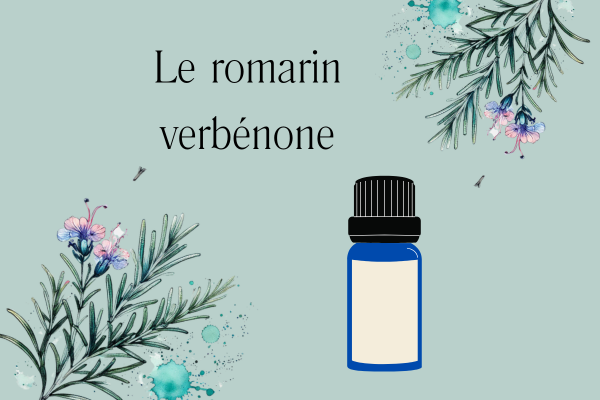 Romarin à Verbénone de Normandie cosmétique bio atelier DIY Fleur Romarin Verbénone utilisée dans les cosmétiques biologique Ecocert écologique Atelier de fabrication de crème Baume pour visage corps peaux Tisane Vegan