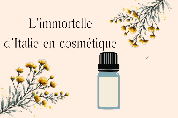 immortelle